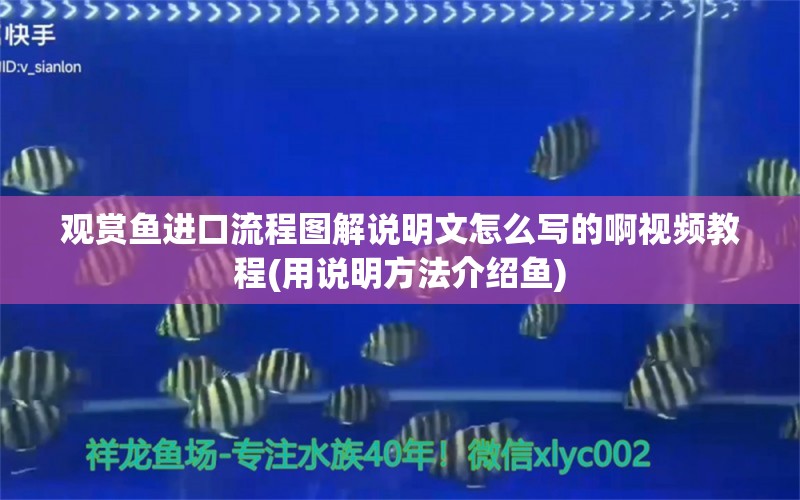 观赏鱼进口流程图解说明文怎么写的啊视频教程(用说明方法介绍鱼)