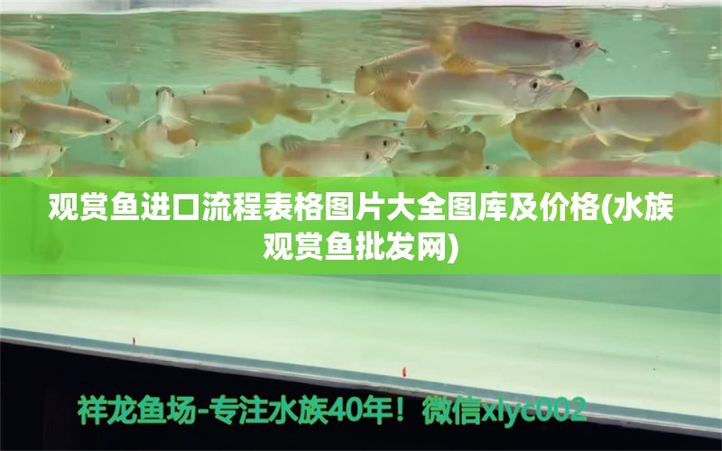 观赏鱼进口流程表格图片大全图库及价格(水族观赏鱼批发网)