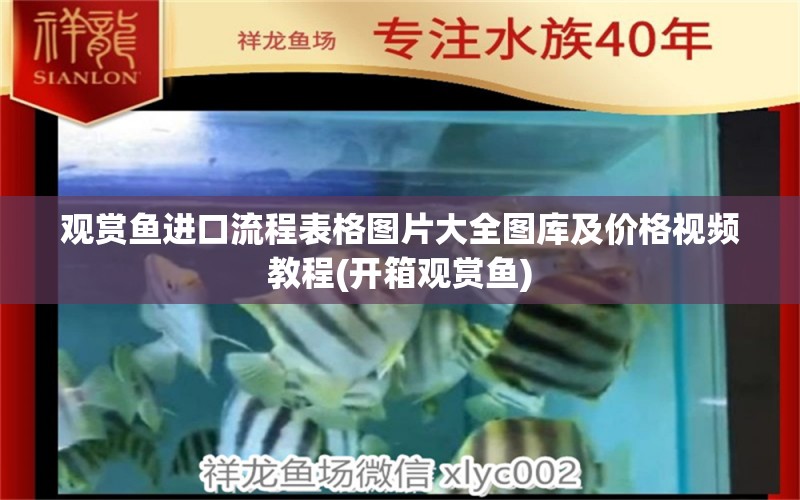 观赏鱼进口流程表格图片大全图库及价格视频教程(开箱观赏鱼) 观赏鱼进出口 第2张