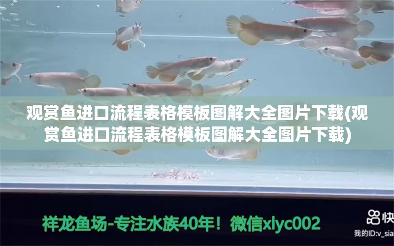 观赏鱼进口流程表格模板图解大全图片下载(观赏鱼进口流程表格模板图解大全图片下载)