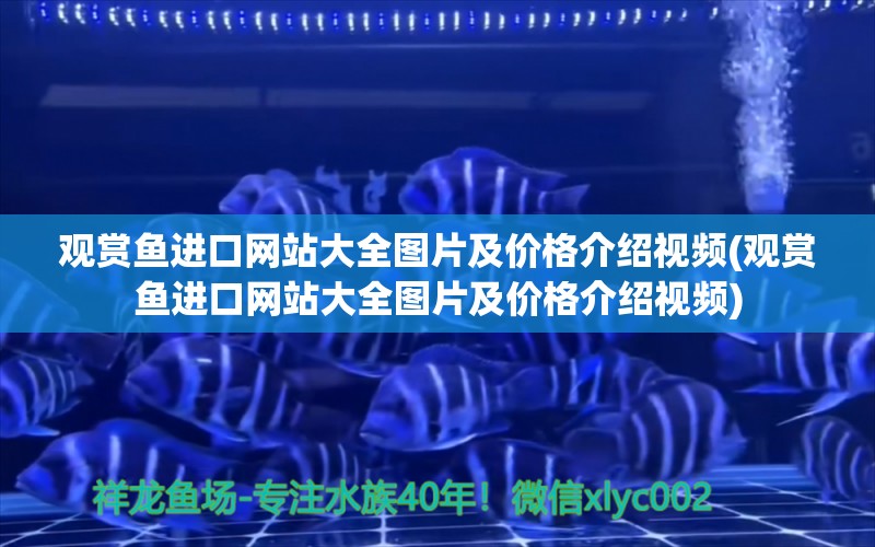 观赏鱼进口网站大全图片及价格介绍视频(观赏鱼进口网站大全图片及价格介绍视频)