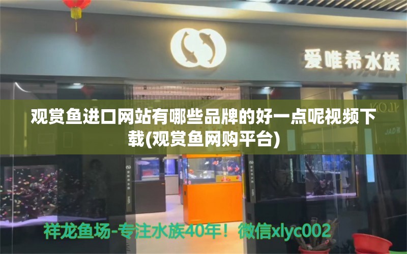 观赏鱼进口网站有哪些品牌的好一点呢视频下载(观赏鱼网购平台) 观赏鱼进出口 第1张