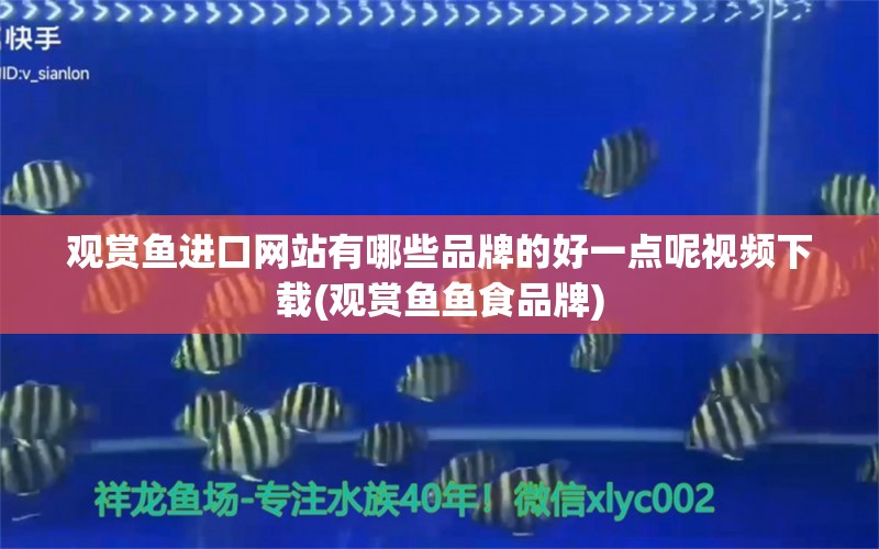 观赏鱼进口网站有哪些品牌的好一点呢视频下载(观赏鱼鱼食品牌)