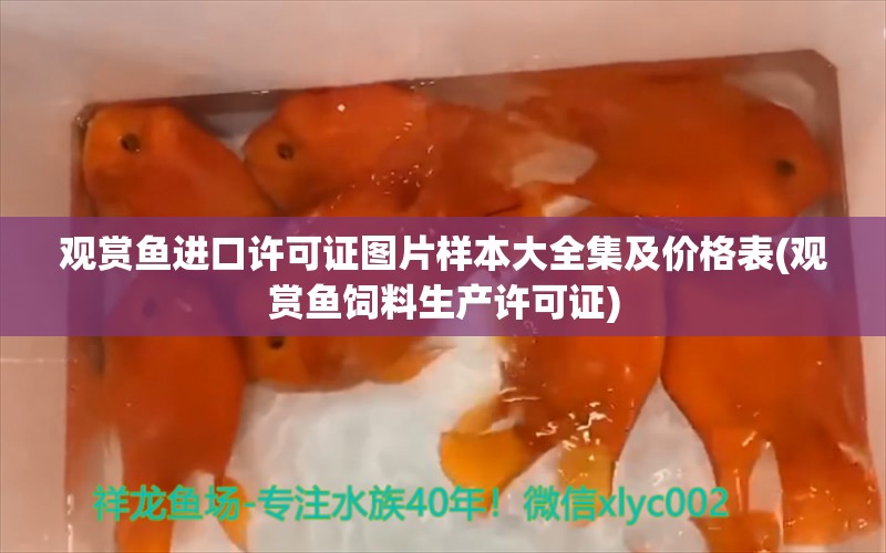 观赏鱼进口许可证图片样本大全集及价格表(观赏鱼饲料生产许可证)