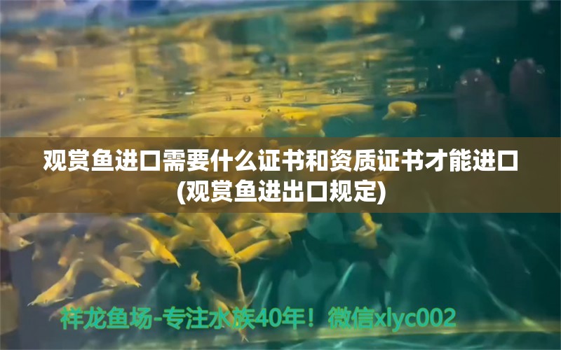 观赏鱼进口需要什么证书和资质证书才能进口(观赏鱼进出口规定)