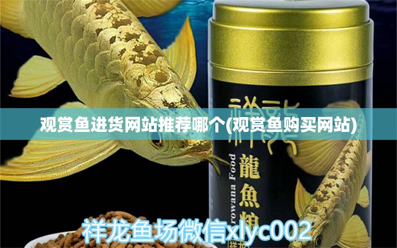 观赏鱼进货网站推荐哪个(观赏鱼购买网站) 大白鲨鱼