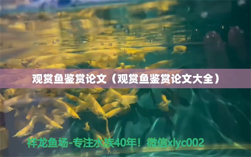 观赏鱼鉴赏论文（观赏鱼鉴赏论文大全）