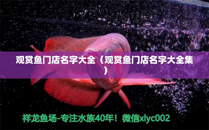 观赏鱼门店名字大全（观赏鱼门店名字大全集） 祥龙水族医院