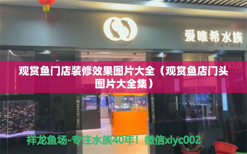 观赏鱼门店装修效果图片大全（观赏鱼店门头图片大全集）