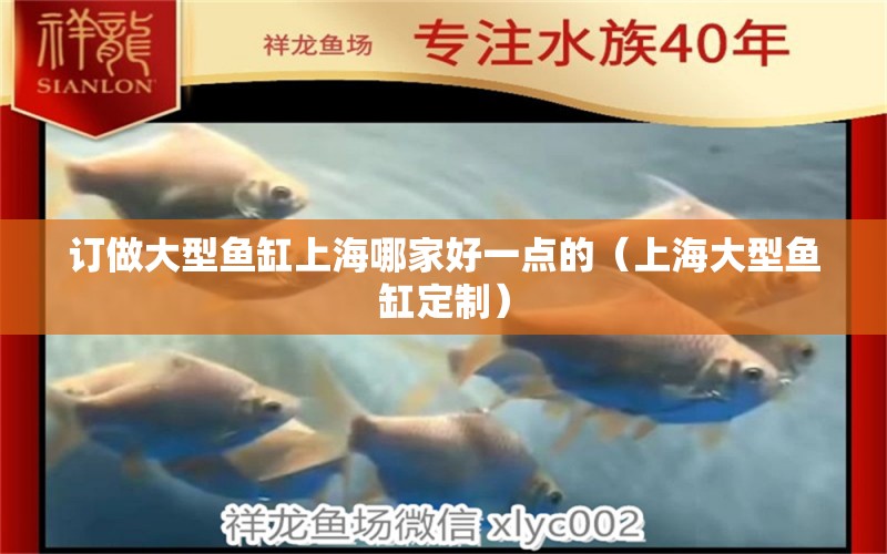 订做大型鱼缸上海哪家好一点的（上海大型鱼缸定制）