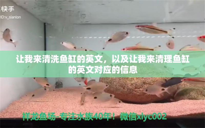 让我来清洗鱼缸的英文，以及让我来清理鱼缸的英文对应的信息