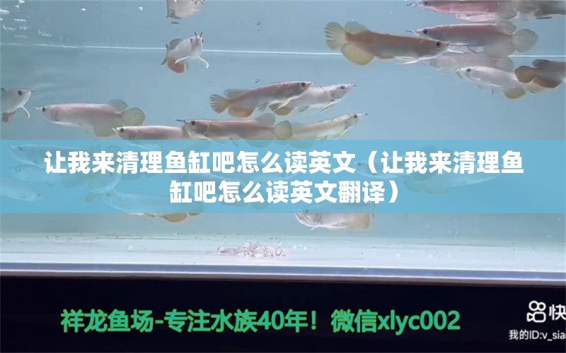 让我来清理鱼缸吧怎么读英文（让我来清理鱼缸吧怎么读英文翻译）