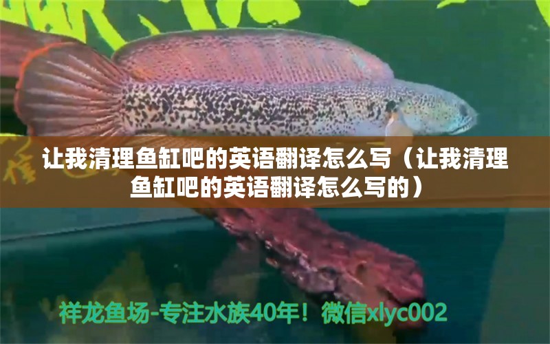 让我清理鱼缸吧的英语翻译怎么写（让我清理鱼缸吧的英语翻译怎么写的） 祥龙水族医院