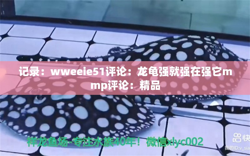 记录：wweeie51评论：龙龟强就强在强它mmp评论：精品 观赏鱼论坛 第2张