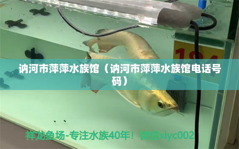 讷河市萍萍水族馆（讷河市萍萍水族馆电话号码）