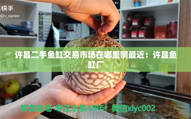 许昌二手鱼缸交易市场在哪里啊最近：许昌鱼缸厂 广州水族批发市场