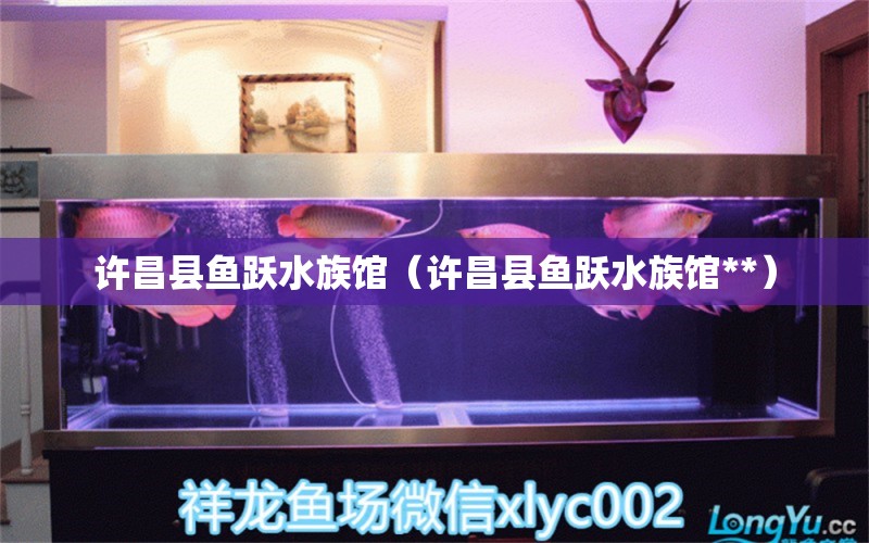 许昌县鱼跃水族馆（许昌县鱼跃水族馆**）