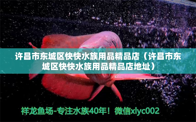 许昌市东城区快快水族用品精品店（许昌市东城区快快水族用品精品店地址）