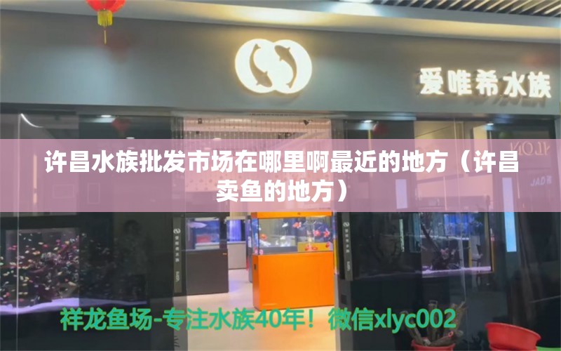 许昌水族批发市场在哪里啊最近的地方（许昌卖鱼的地方）