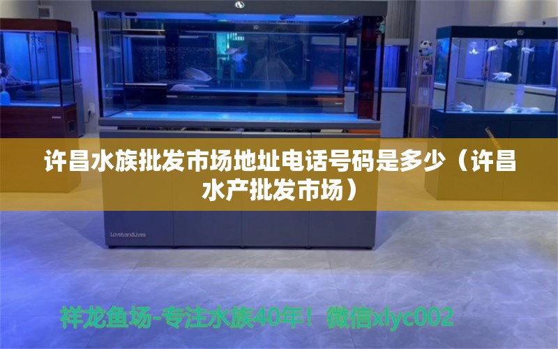 许昌水族批发市场地址电话号码是多少（许昌水产批发市场） 羽毛刀鱼苗