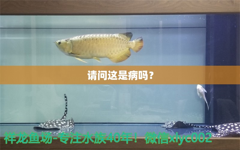 请问这是病吗？