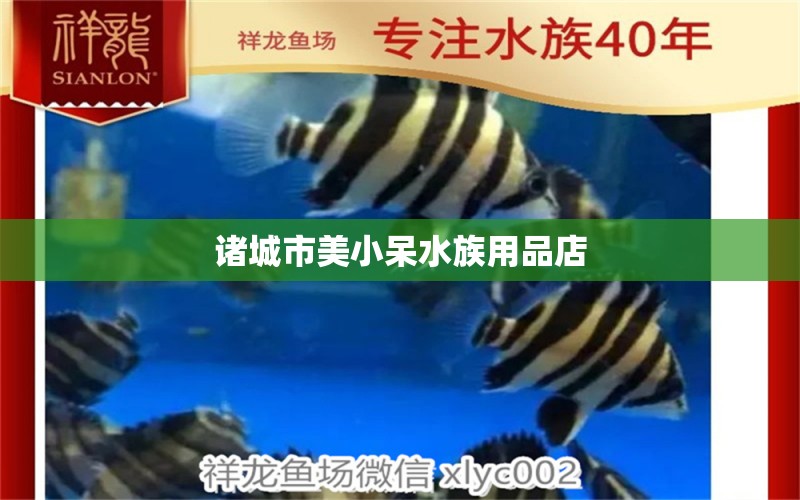 诸城市美小呆水族用品店