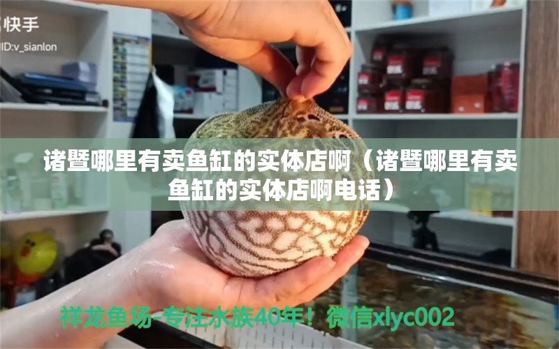 诸暨哪里有卖鱼缸的实体店啊（诸暨哪里有卖鱼缸的实体店啊电话）