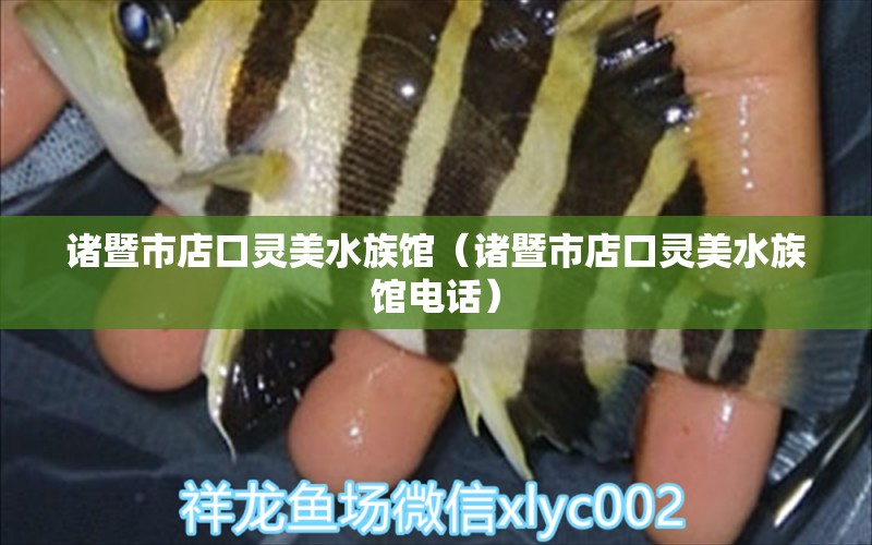 诸暨市店口灵美水族馆（诸暨市店口灵美水族馆电话） 全国水族馆企业名录