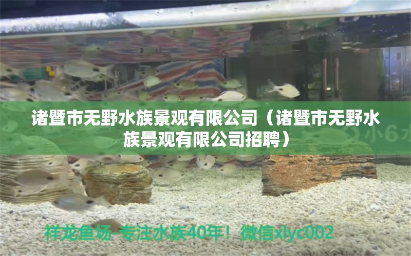 诸暨市无野水族景观有限公司（诸暨市无野水族景观有限公司招聘）