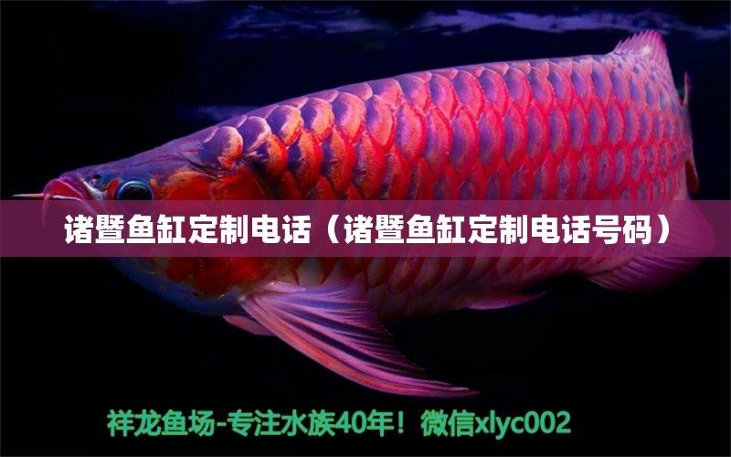 诸暨鱼缸定制电话（诸暨鱼缸定制电话号码） 祥龙水族医院