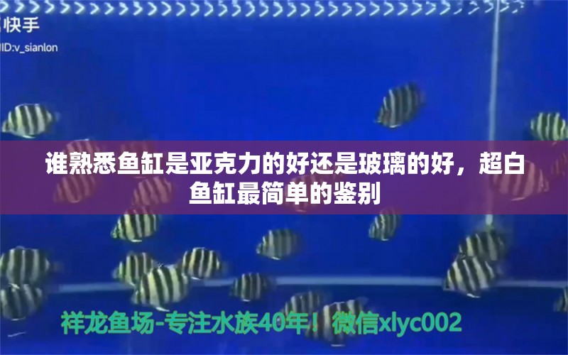 谁熟悉鱼缸是亚克力的好还是玻璃的好，超白鱼缸最简单的鉴别