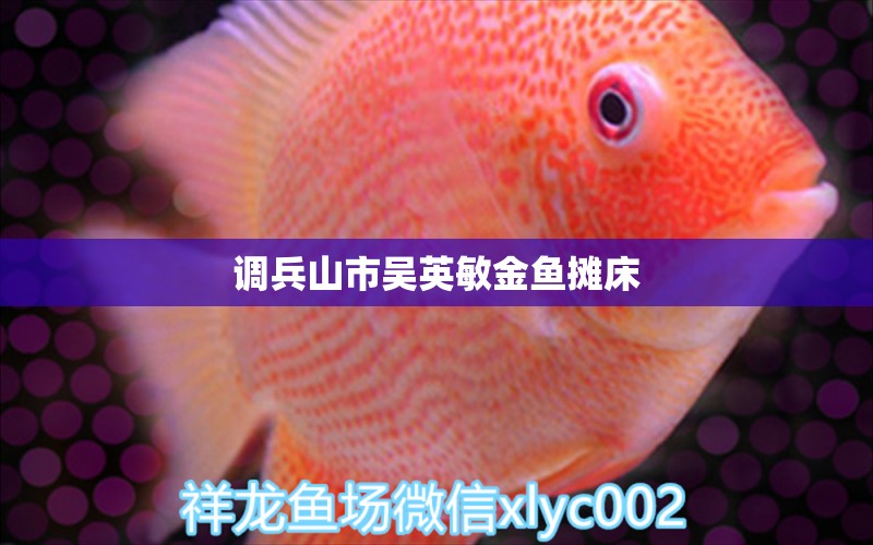 调兵山市吴英敏金鱼摊床 全国水族馆企业名录