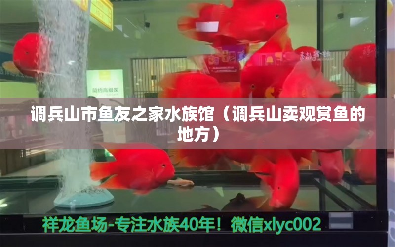 调兵山市鱼友之家水族馆（调兵山卖观赏鱼的地方） 全国水族馆企业名录