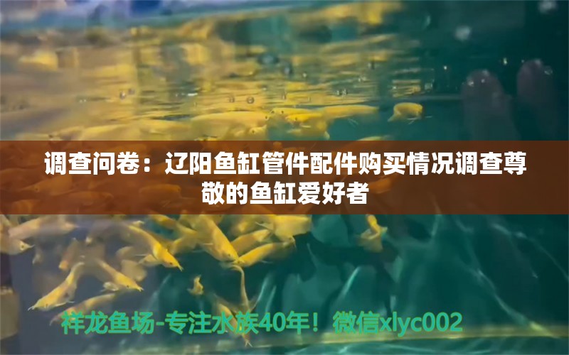 调查问卷：辽阳鱼缸管件配件购买情况调查尊敬的鱼缸爱好者 观赏鱼 第1张