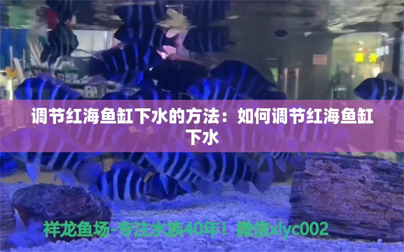 调节红海鱼缸下水的方法：如何调节红海鱼缸下水 鱼缸百科 第2张