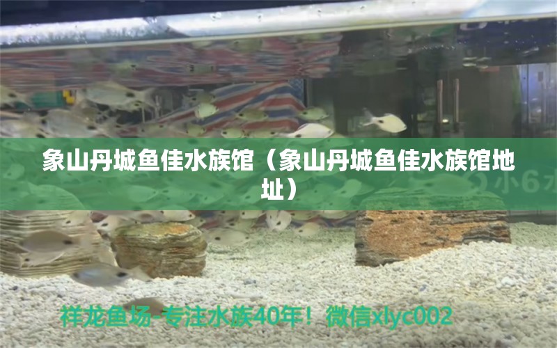 象山丹城鱼佳水族馆（象山丹城鱼佳水族馆地址） 全国水族馆企业名录