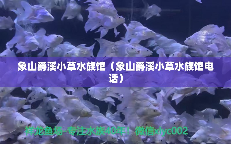 象山爵溪小草水族馆（象山爵溪小草水族馆电话） 全国水族馆企业名录