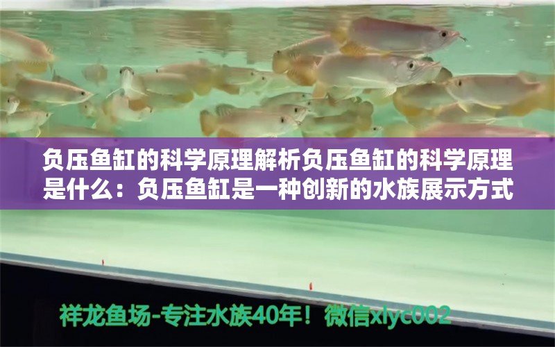 负压鱼缸的科学原理解析负压鱼缸的科学原理是什么：负压鱼缸是一种创新的水族展示方式 鱼缸百科 第2张