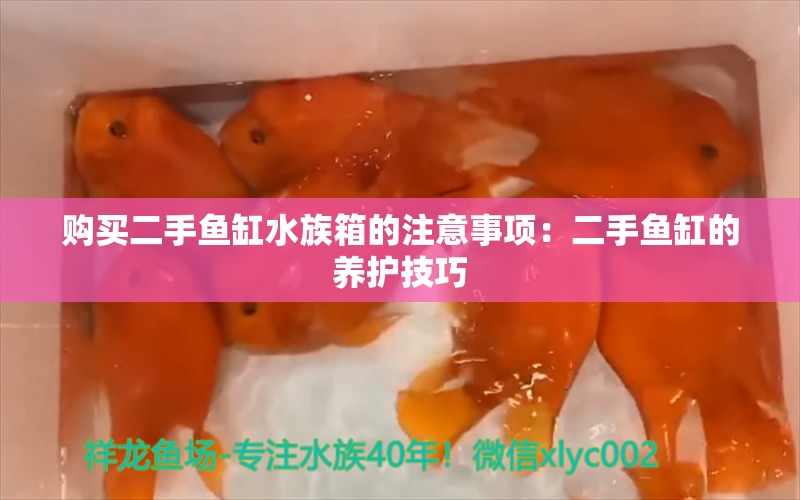 购买二手鱼缸水族箱的注意事项：二手鱼缸的养护技巧