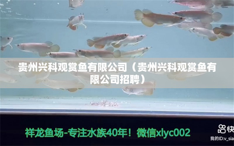 贵州兴科观赏鱼有限公司（贵州兴科观赏鱼有限公司招聘） 全国水族馆企业名录