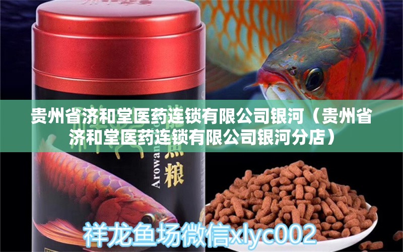 贵州省济和堂医药连锁有限公司银河（贵州省济和堂医药连锁有限公司银河分店）