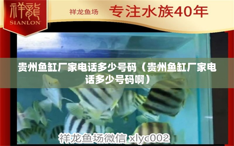 贵州鱼缸厂家电话多少号码（贵州鱼缸厂家电话多少号码啊） 过背金龙鱼