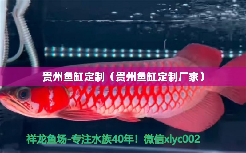 贵州鱼缸定制（贵州鱼缸定制厂家） 祥龙水族医院