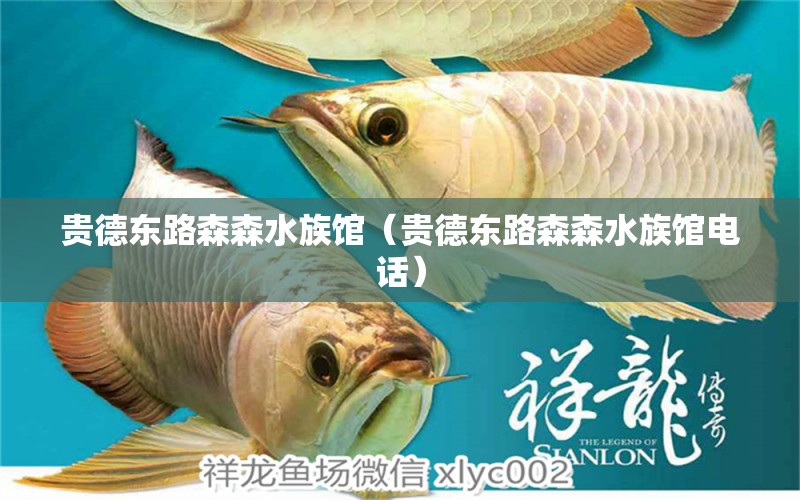 贵德东路森森水族馆（贵德东路森森水族馆电话）