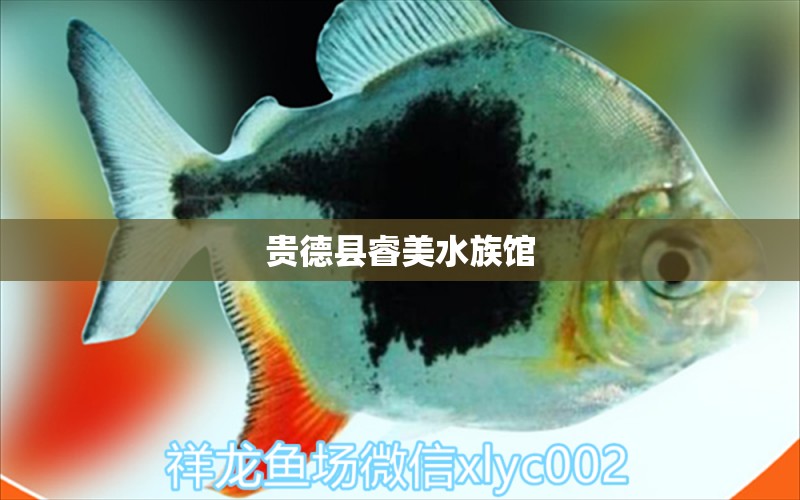 贵德县睿美水族馆 全国水族馆企业名录 第2张