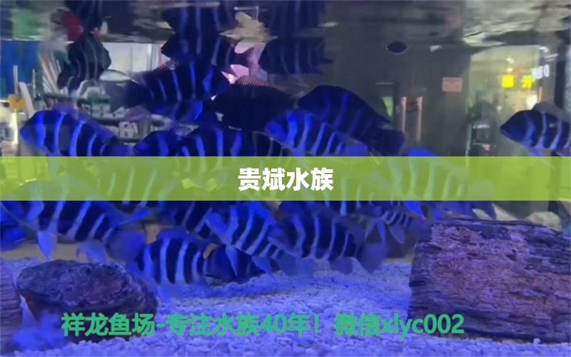 贵斌水族 全国水族馆企业名录