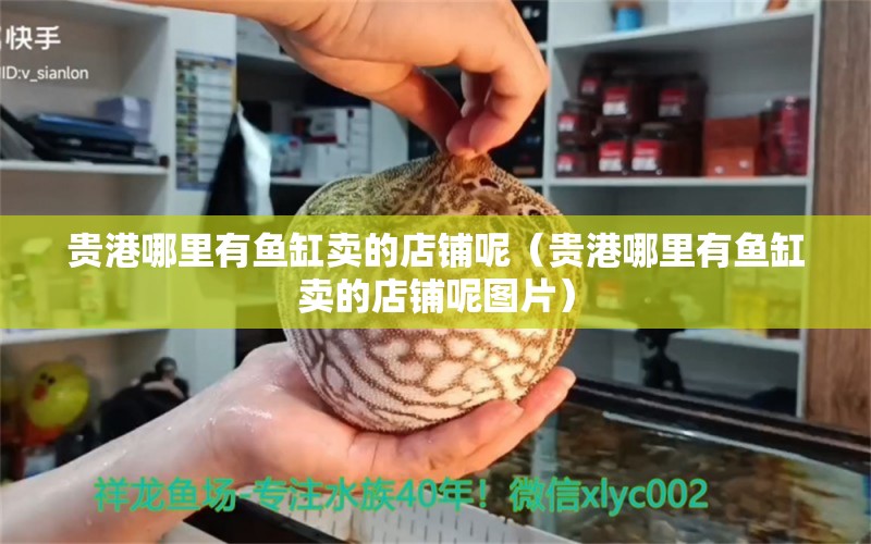 贵港哪里有鱼缸卖的店铺呢（贵港哪里有鱼缸卖的店铺呢图片） 量子养鱼技术