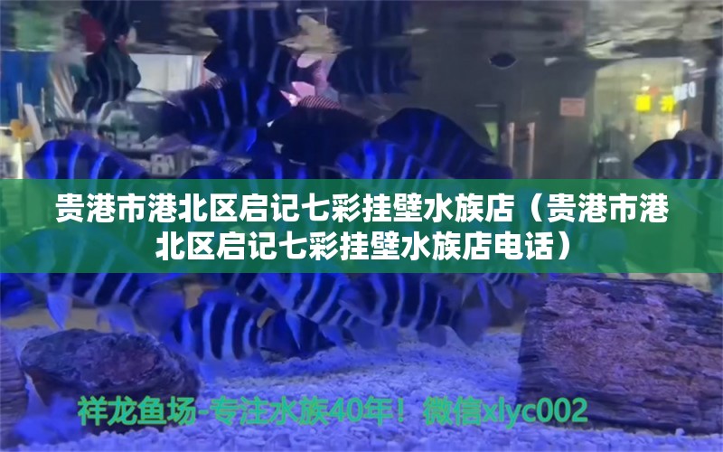 贵港市港北区启记七彩挂壁水族店（贵港市港北区启记七彩挂壁水族店电话） 全国水族馆企业名录