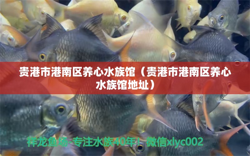 贵港市港南区养心水族馆（贵港市港南区养心水族馆地址）