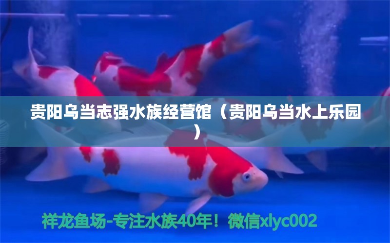 贵阳乌当志强水族经营馆（贵阳乌当水上乐园）